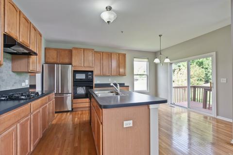 1341 Bison Ln, Hoffman Estates, IL 60192 photo 21