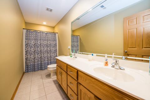 259 Aspen Dr, Beecher, IL 60401 photo 20