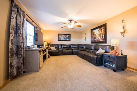 259 Aspen Dr, Beecher, IL 60401 photo 9