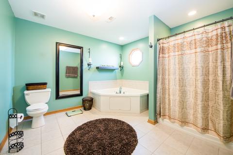 259 Aspen Dr, Beecher, IL 60401 photo 15