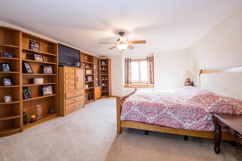 259 Aspen Dr, Beecher, IL 60401 photo 14