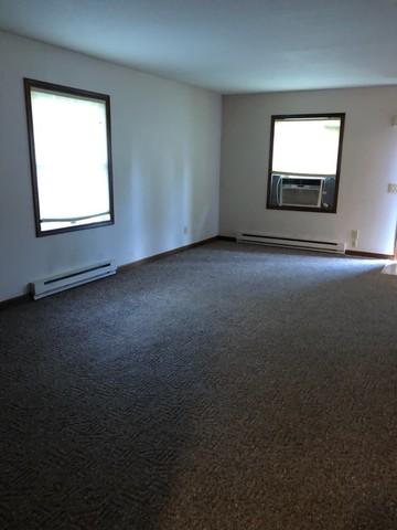507 8th St, Mazon, IL 60444 photo 6
