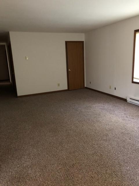 507 8th St, Mazon, IL 60444 photo 2