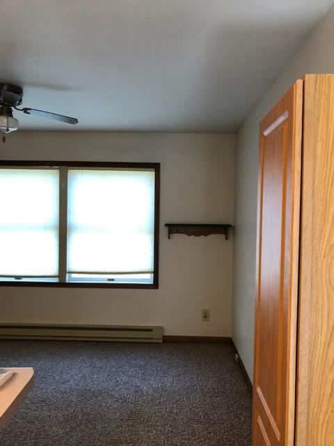 507 8th St, Mazon, IL 60444 photo 9