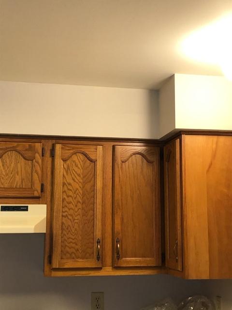 507 8th St, Mazon, IL 60444 photo 7