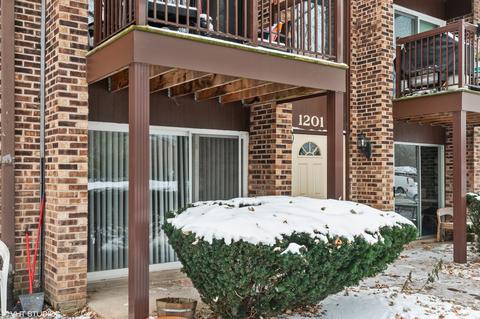 1201 Pleasant Run Dr #305, Wheeling, IL 60090 photo 12