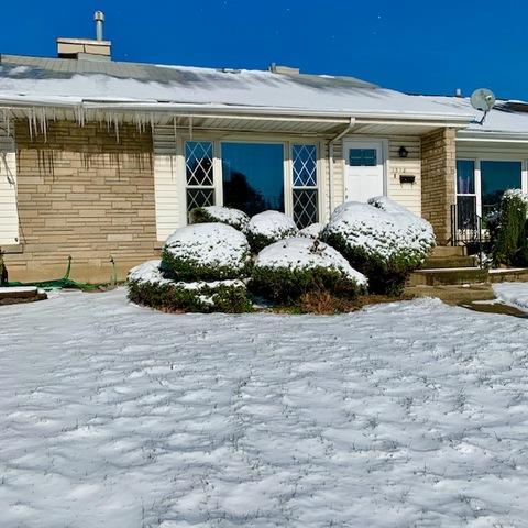 1318 E 87th St, Chicago, IL 60619 photo 1