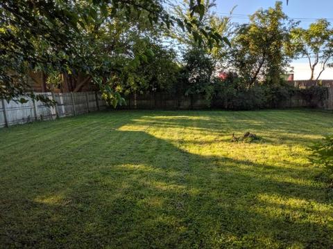 8039 46th St, Lyons, IL 60534 photo 18