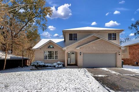 16119 Turner Ave, Markham, IL 60428 photo 1
