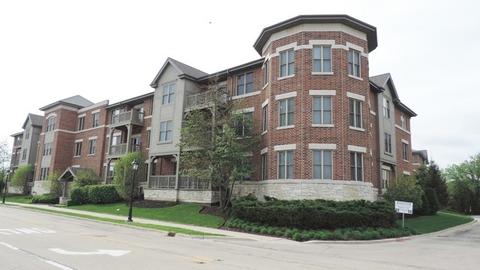 271 E Railroad Ave #301, Bartlett, IL 60103 photo 29