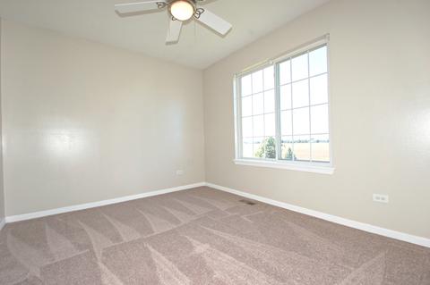 14622 Thomas Jefferson Dr, Plainfield, IL 60544 photo 12