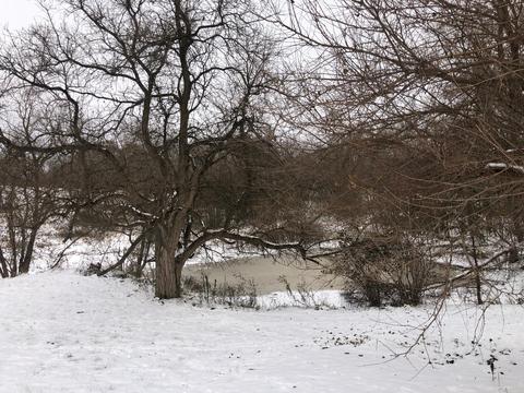 1904 E Town Line Rd, Leaf River, IL 61047 photo 2