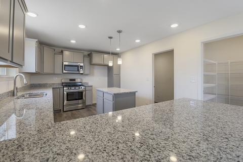 13518 Summergrove Dr, Plainfield, IL 60585 photo 9