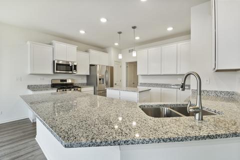 27106 Ashgate Xing, Plainfield, IL 60585 photo 12