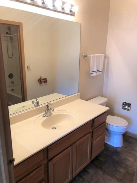 21562 Franklin Cir, Plainfield, IL 60544 photo 7