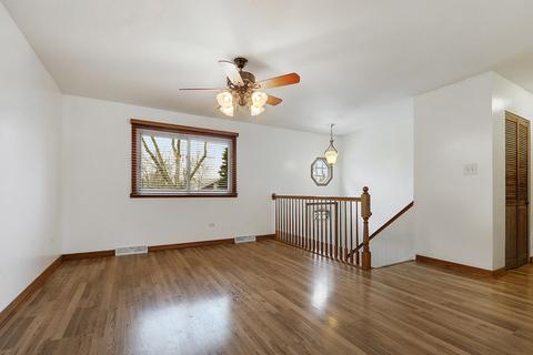3227 Wallace Ave, Steger, IL 60475 photo 2