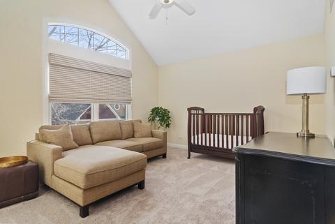 13206 S Lake Mary Dr, Plainfield, IL 60585 photo 17