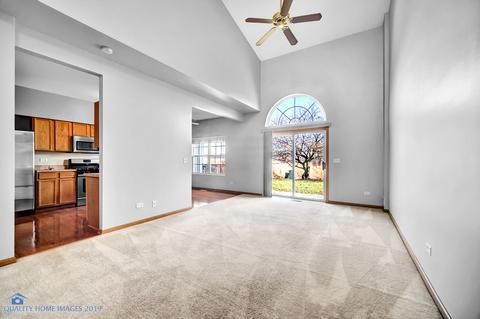 2410 Oak Tree Ln, Plainfield, IL 60586 photo 5