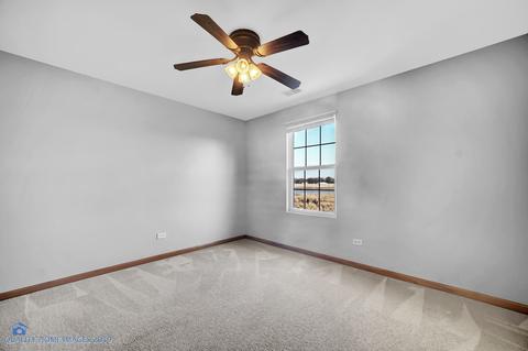2410 Oak Tree Ln, Plainfield, IL 60586 photo 17
