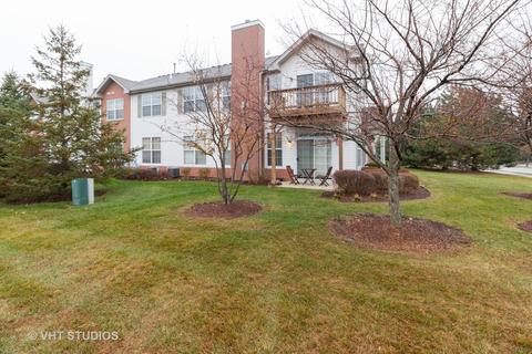 24230 Walnut Cir, Plainfield, IL 60585 photo 16