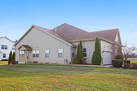 30277 Sunset Ct, Beecher, IL 60401 photo 1