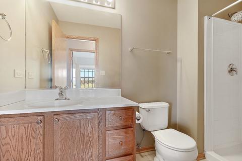 30277 Sunset Ct, Beecher, IL 60401 photo 9