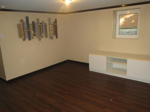 3838 Maple Ave, Berwyn, IL 60402 photo 37