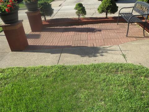 3838 Maple Ave, Berwyn, IL 60402 photo 5