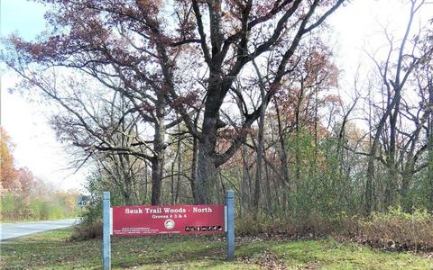 52 Apache St, Park Forest, IL 60466 photo 23