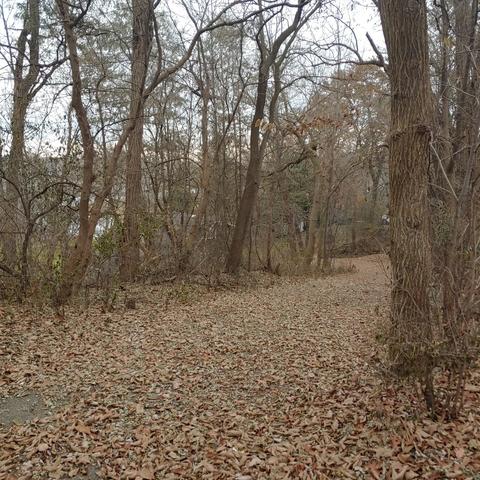 27071 W Chris Larkin Rd, Ingleside, IL 60041 photo 21