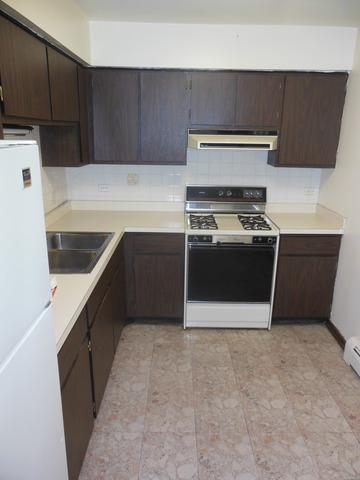 677 S River Rd S #3E, Des Plaines, IL 60016 photo 3