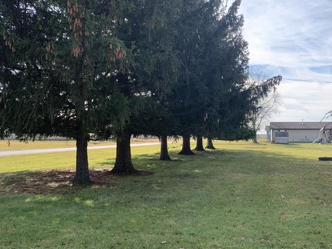 325 Grove St, Weldon, IL 61882 photo 25