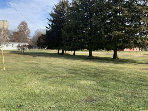 325 Grove St, Weldon, IL 61882 photo 26