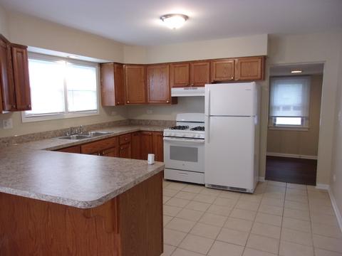 2256 Thornton Lansing Rd, Lansing, IL 60438 photo 13