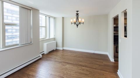 40 E Cedar St #17C, Chicago, IL 60611 photo 12