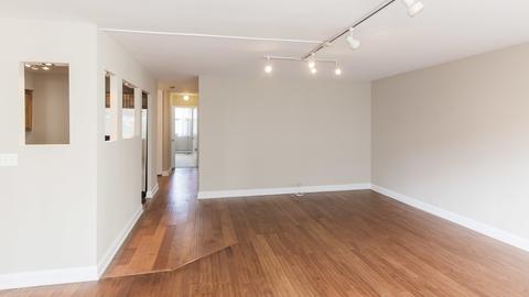 40 E Cedar St #17C, Chicago, IL 60611 photo 9
