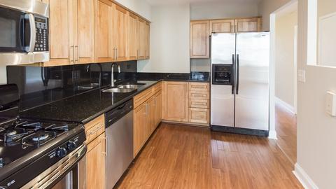 40 E Cedar St #17C, Chicago, IL 60611 photo 13