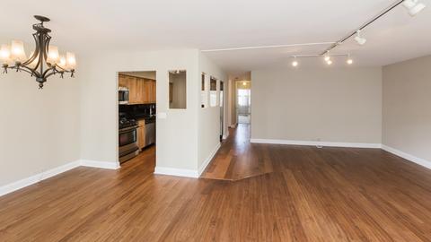 40 E Cedar St #17C, Chicago, IL 60611 photo 10