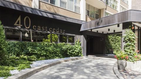 40 E Cedar St #17C, Chicago, IL 60611 photo 1