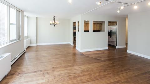 40 E Cedar St #17C, Chicago, IL 60611 photo 7