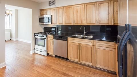 40 E Cedar St #17C, Chicago, IL 60611 photo 14
