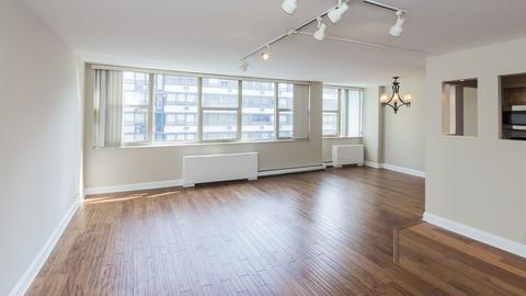 40 E Cedar St #17C, Chicago, IL 60611 photo 6