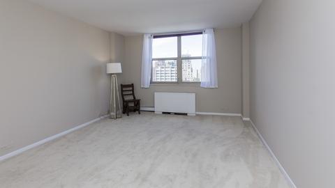40 E Cedar St #17C, Chicago, IL 60611 photo 17