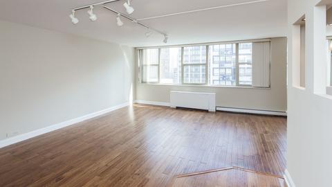 40 E Cedar St #17C, Chicago, IL 60611 photo 5