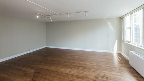 40 E Cedar St #17C, Chicago, IL 60611 photo 8