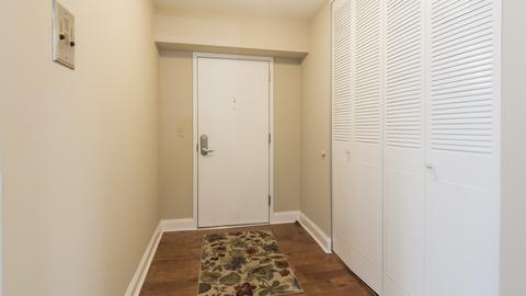 40 E Cedar St #17C, Chicago, IL 60611 photo 4