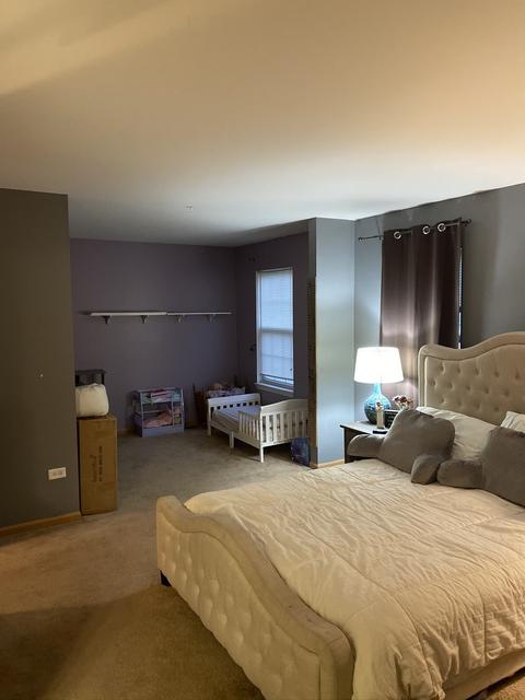 3228 Hoffman St, Plano, IL 60545 photo 21