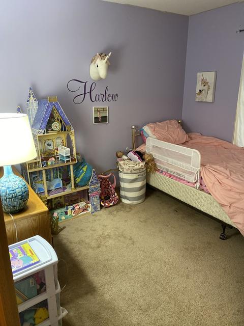 3228 Hoffman St, Plano, IL 60545 photo 26