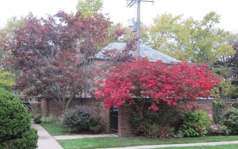 1172 E 53rd St, Chicago, IL 60615 photo 4