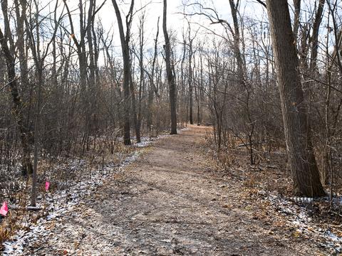 25 W726 Harrison Ave, Wheaton, IL 60187 photo 18